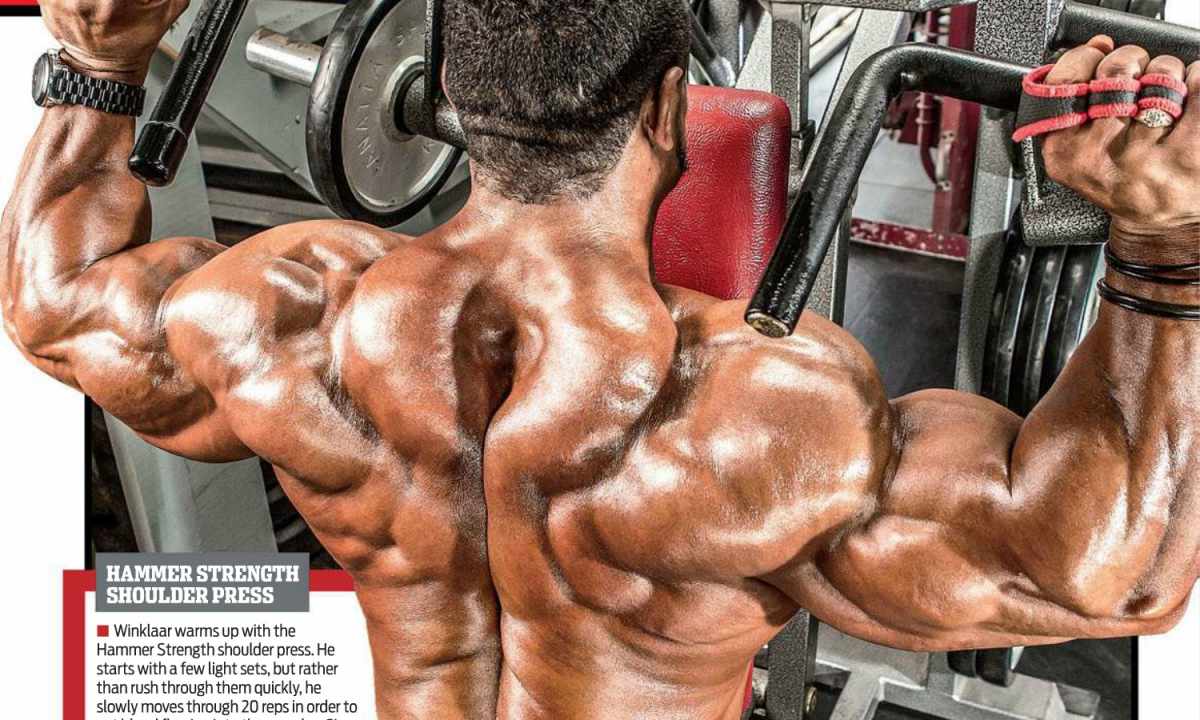 All about the triceps: how quickly to pump up